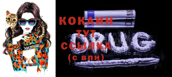 стаф Аркадак
