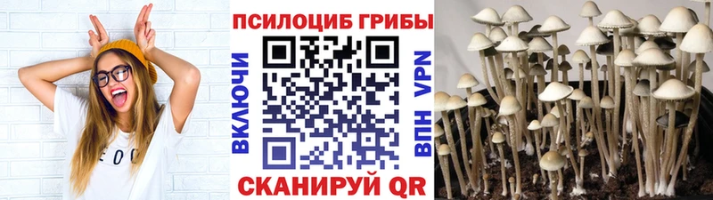 Галлюциногенные грибы прущие грибы  Великий Устюг 